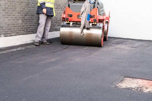 Professional Driveway Paving Services in Mount Vernon, TX